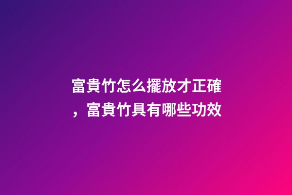富貴竹怎么擺放才正確，富貴竹具有哪些功效